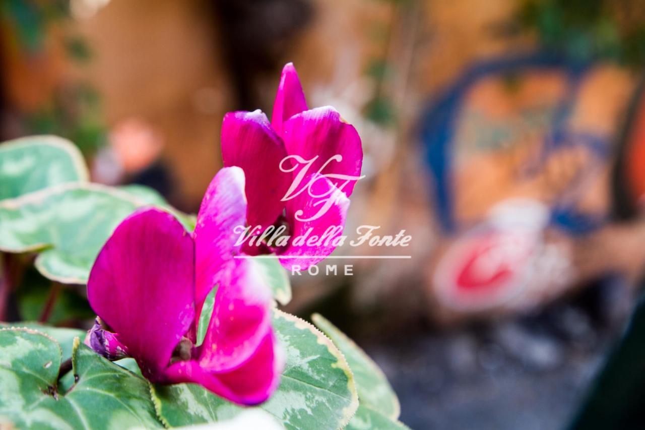 Villa Della Fonte Ρώμη Εξωτερικό φωτογραφία